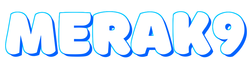 Logo MERAK9
